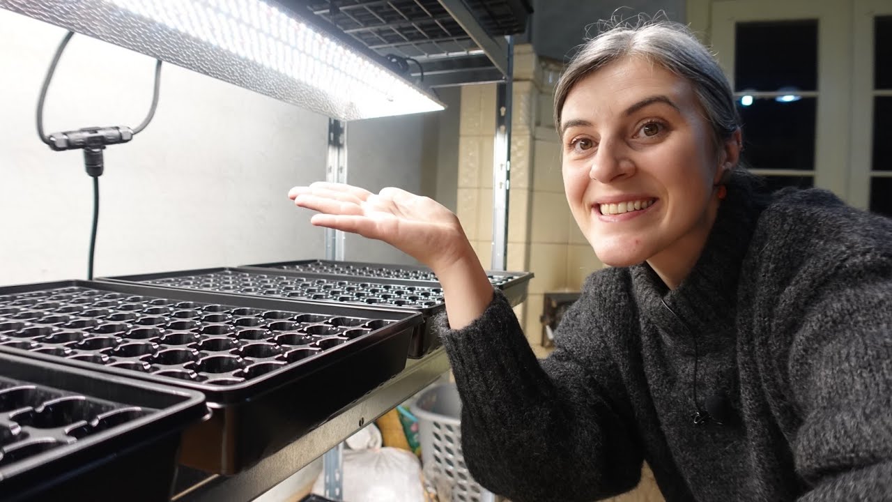 Mars Hydro Grow Lights Setup for Growing Seedlings