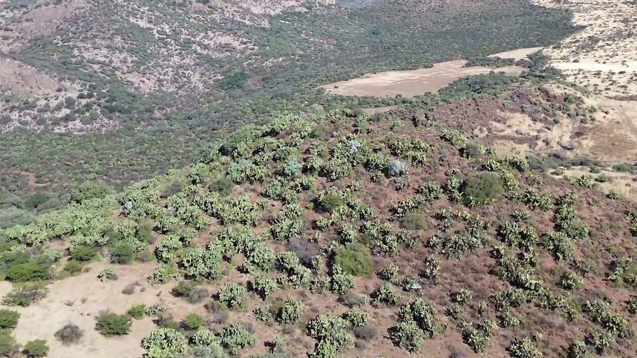 Video de la chicharronera en Venustiano Carranza canatlan Durango 