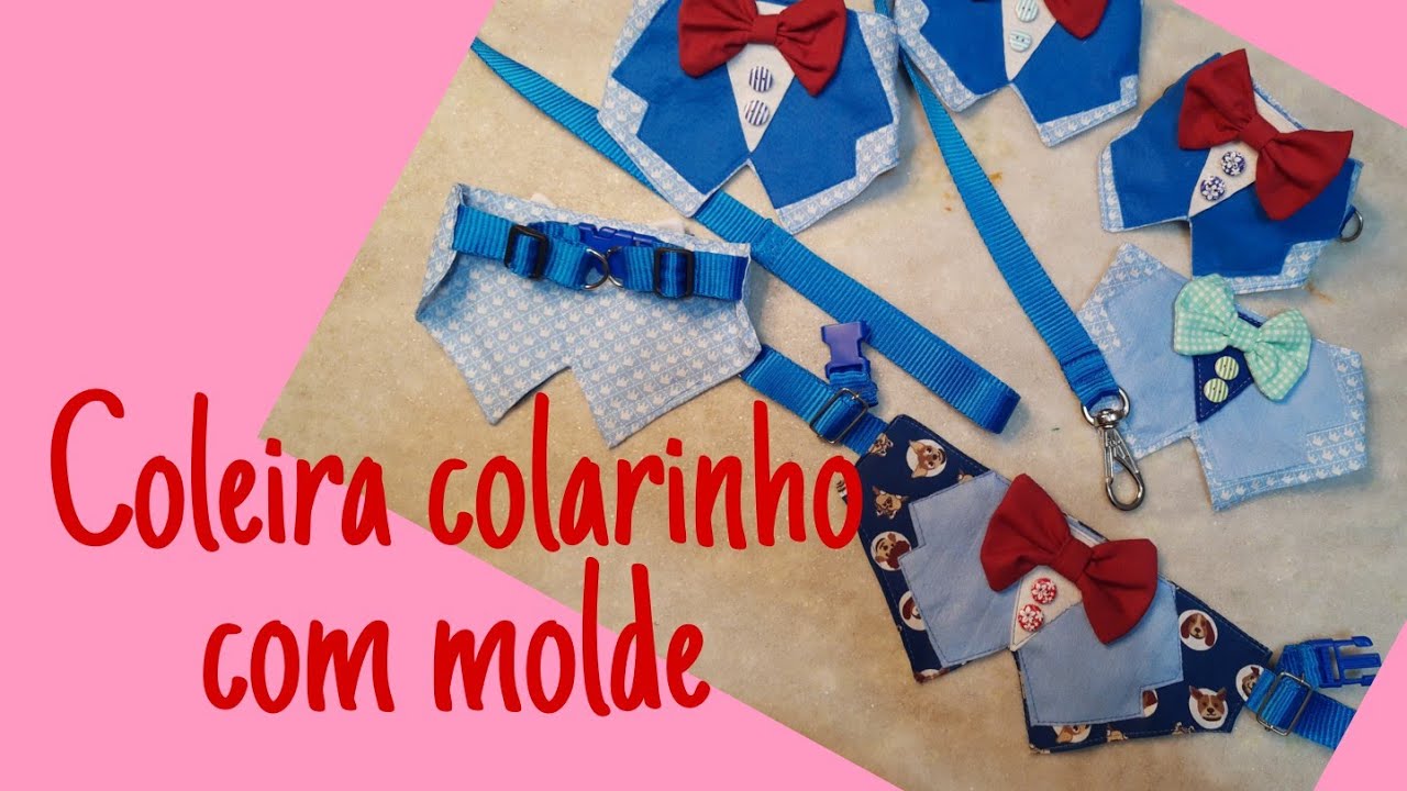 Coleira Colarinho Pet| Com Molde