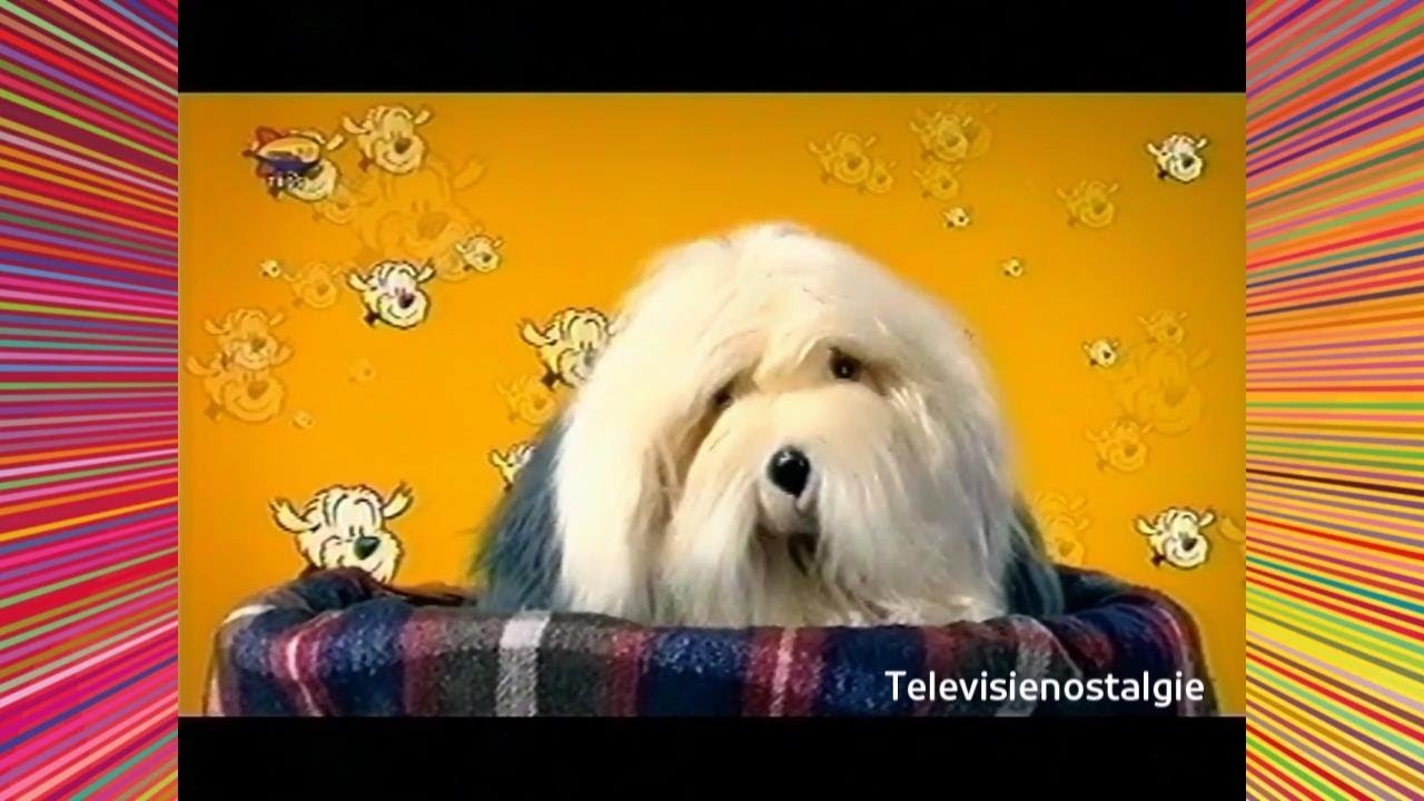 De Wereld Is Mooi aflevering (2003)