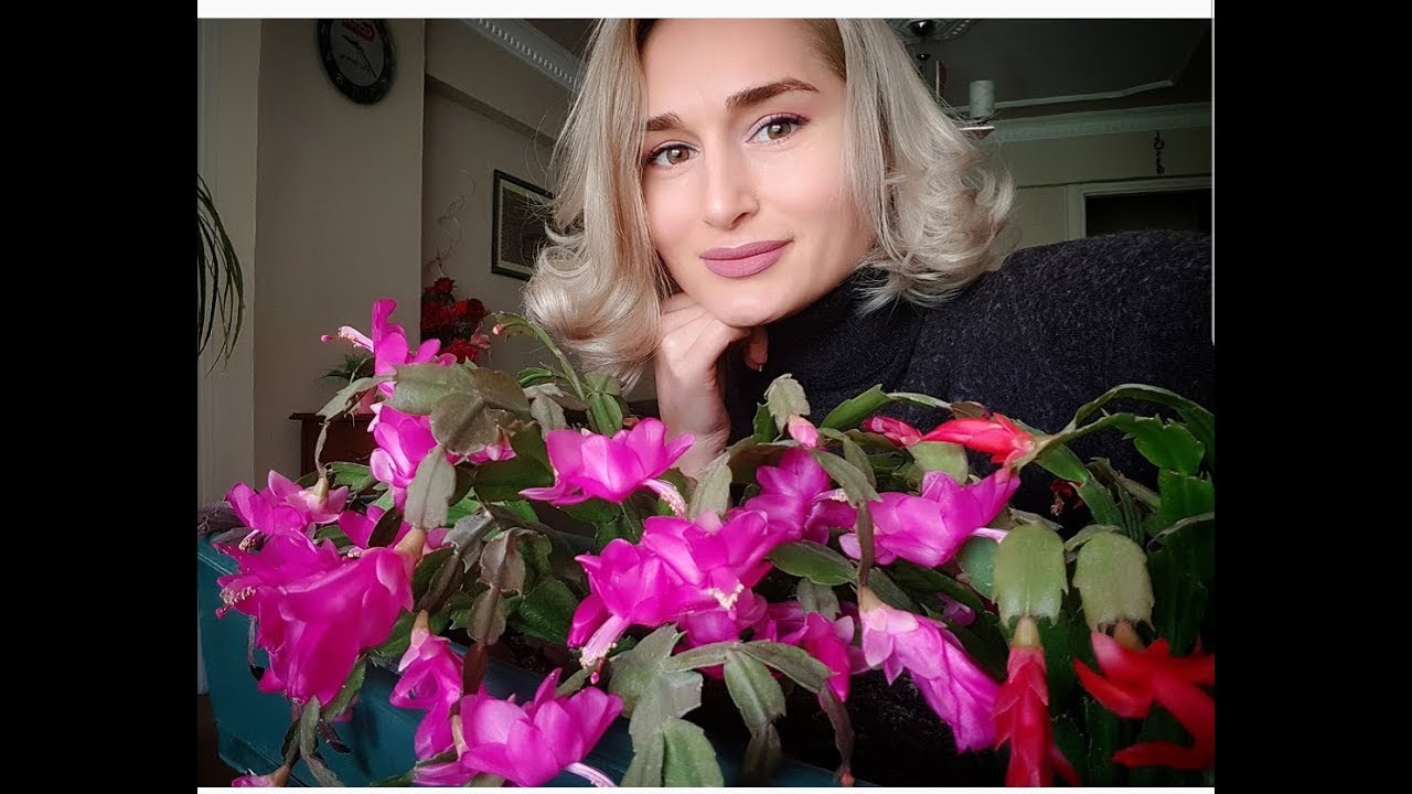 чем я завтракаю / СВЕКРОВЬ готовит вкусняшки /  Измир Турция