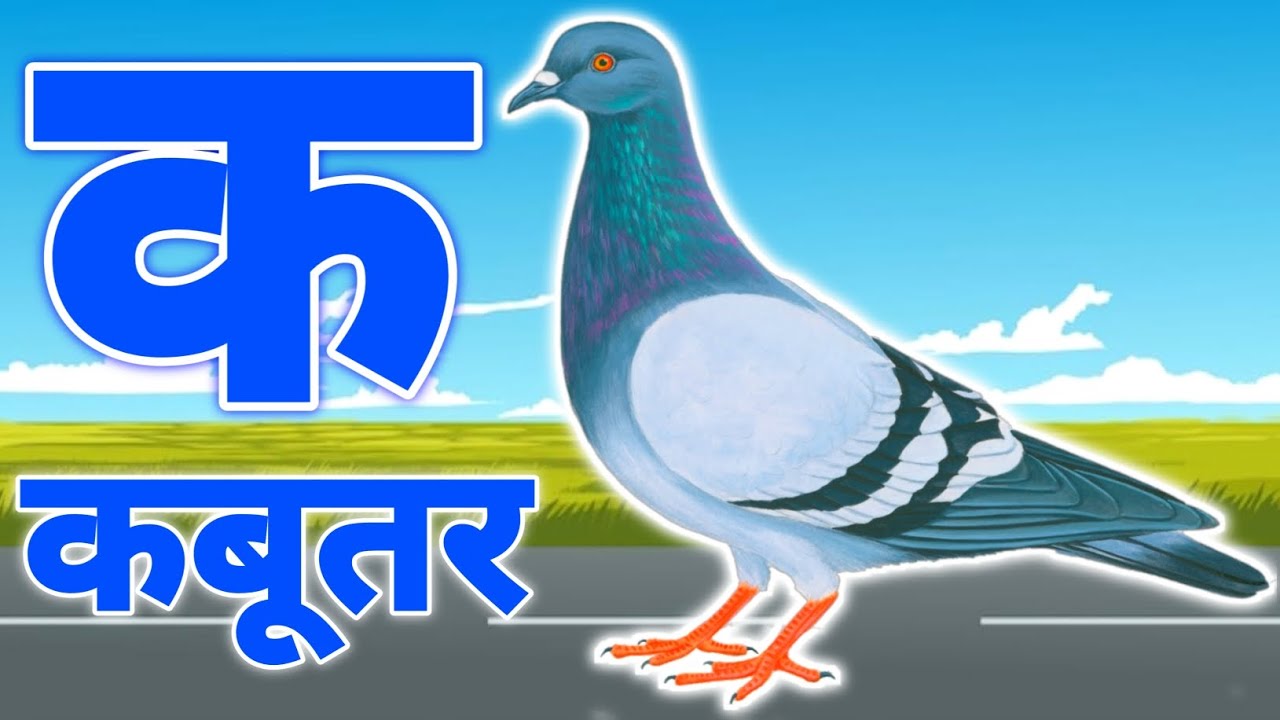 अ से अनार - Hindi Varnamala Geet - Hindi Phonics Song + More Hindi Rhymes for Children jug jug tv
