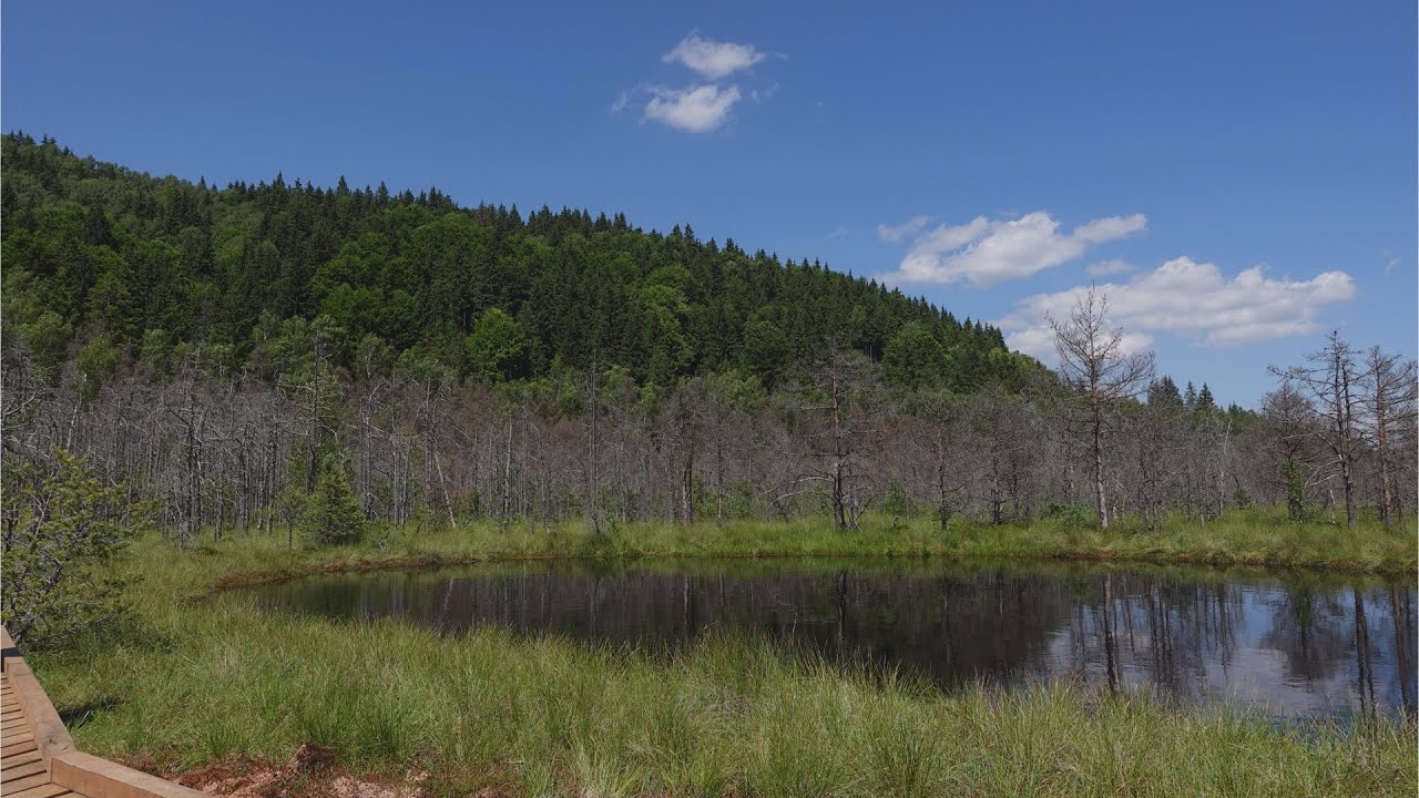 Szent-Anna-tó - Mohos-tőzegláp