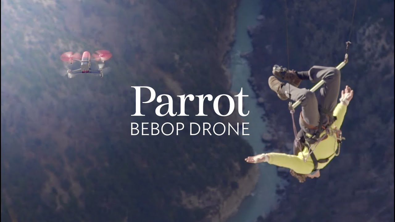 Catching Bebop Drones - with the FLYING frenchies
