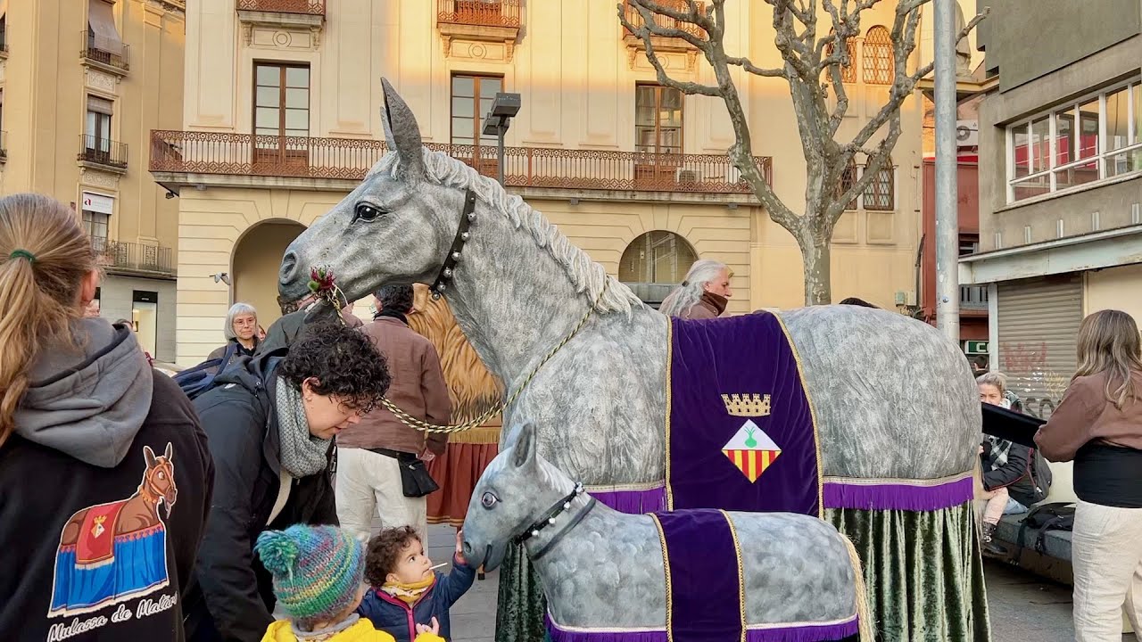 La MULASSA i la MULASSETA de Sabadell