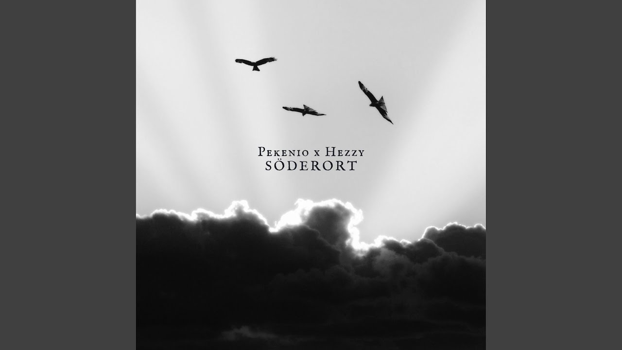 S&ouml;derort