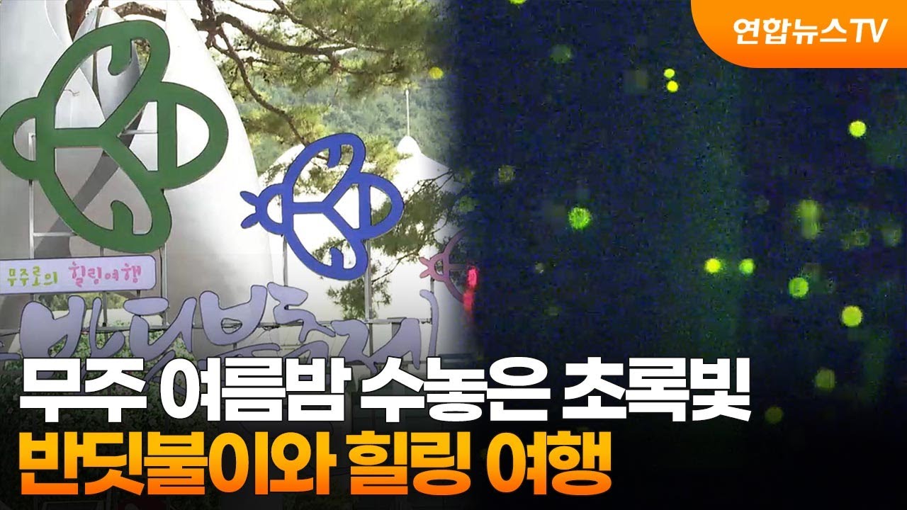 무주 여름밤 수놓은 초록빛&hellip;반딧불이와 힐링 여행 / 연합뉴스TV (YonhapnewsTV)