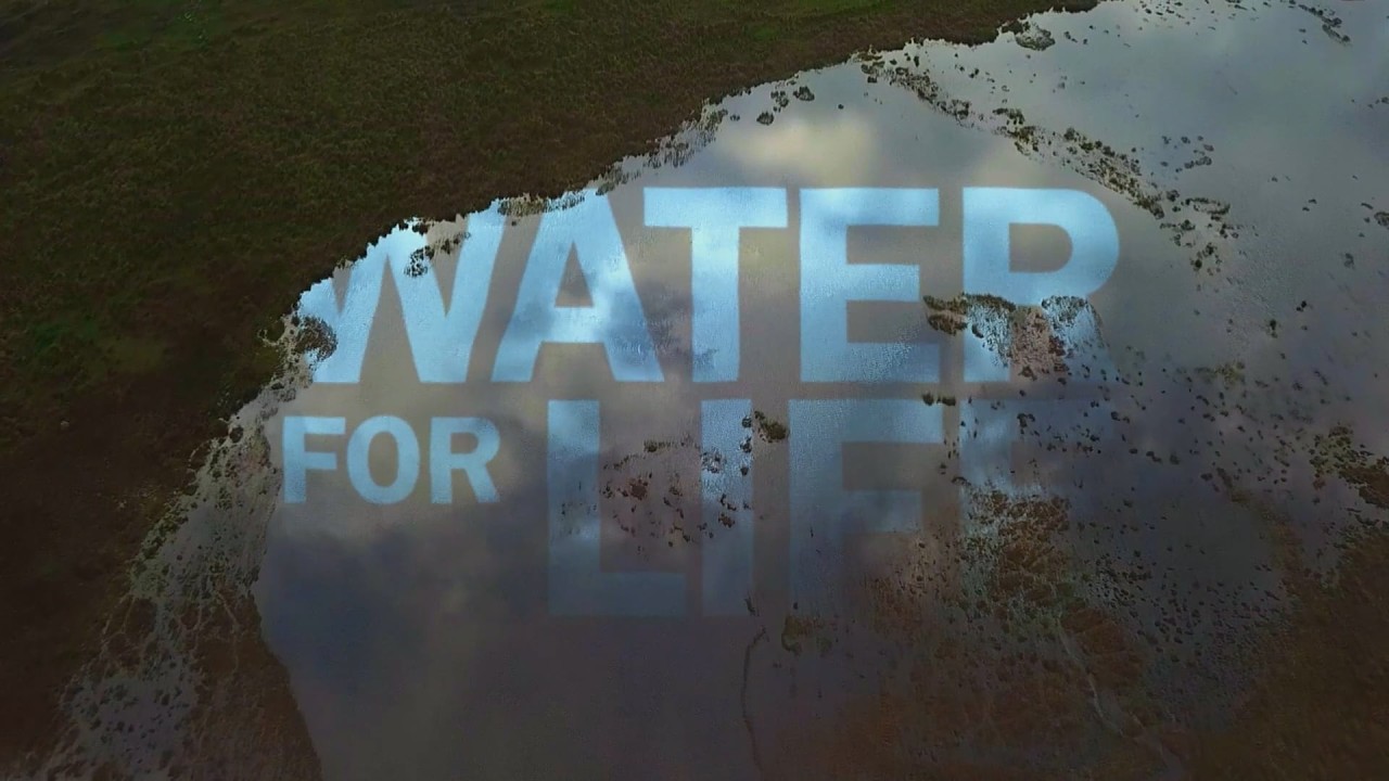 Bullfrog Films presents...Water for Life / Agua es Vida