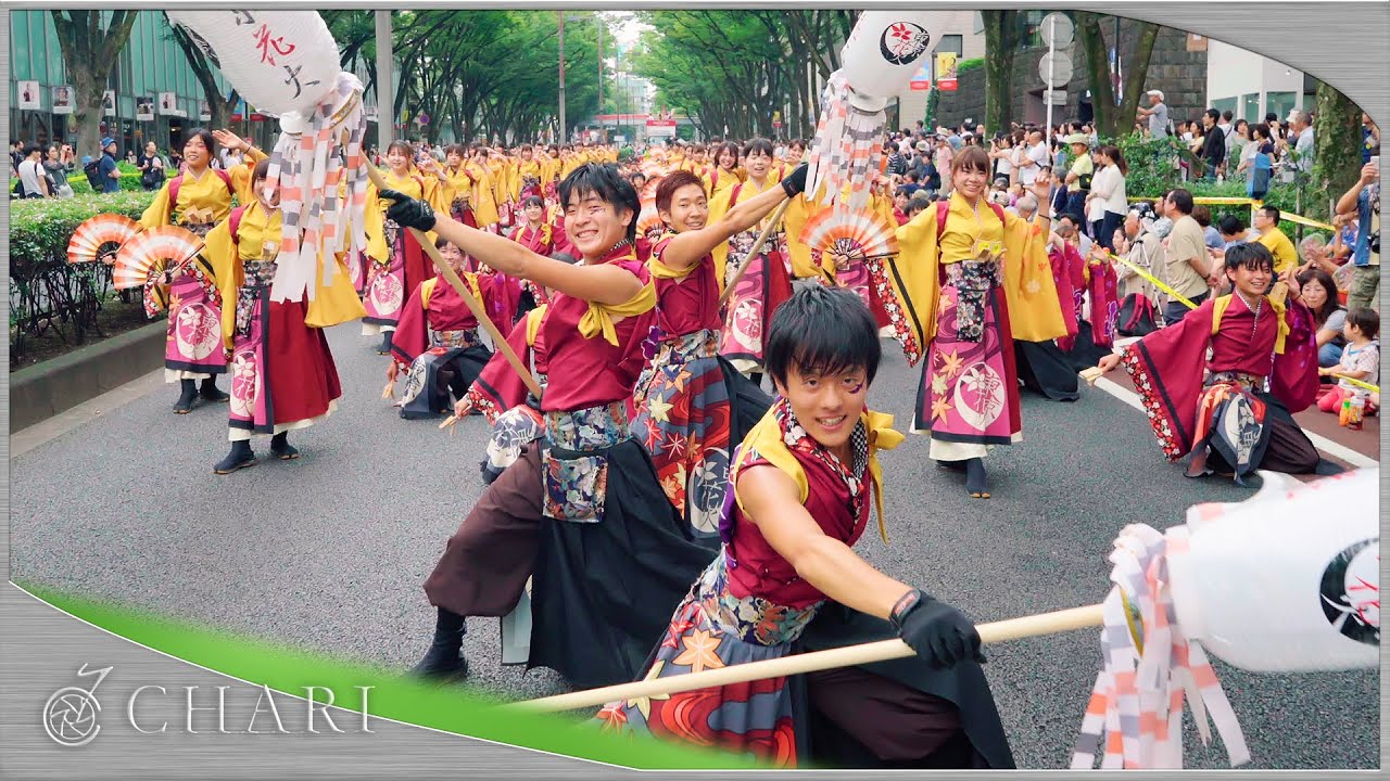 【4K】早稲田大学 東京花火｜花かるた（原宿表参道元氣祭スーパーよさこい2016 表参道）