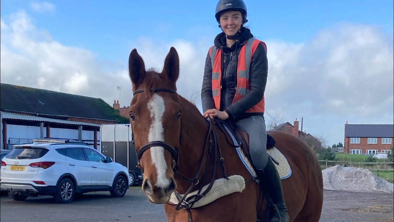 Winter Yard Vlog | Bringing the Horses Back Into Work