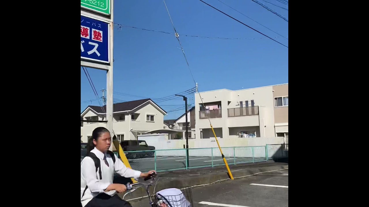 亦盆栽日本盆景采购沿途小记