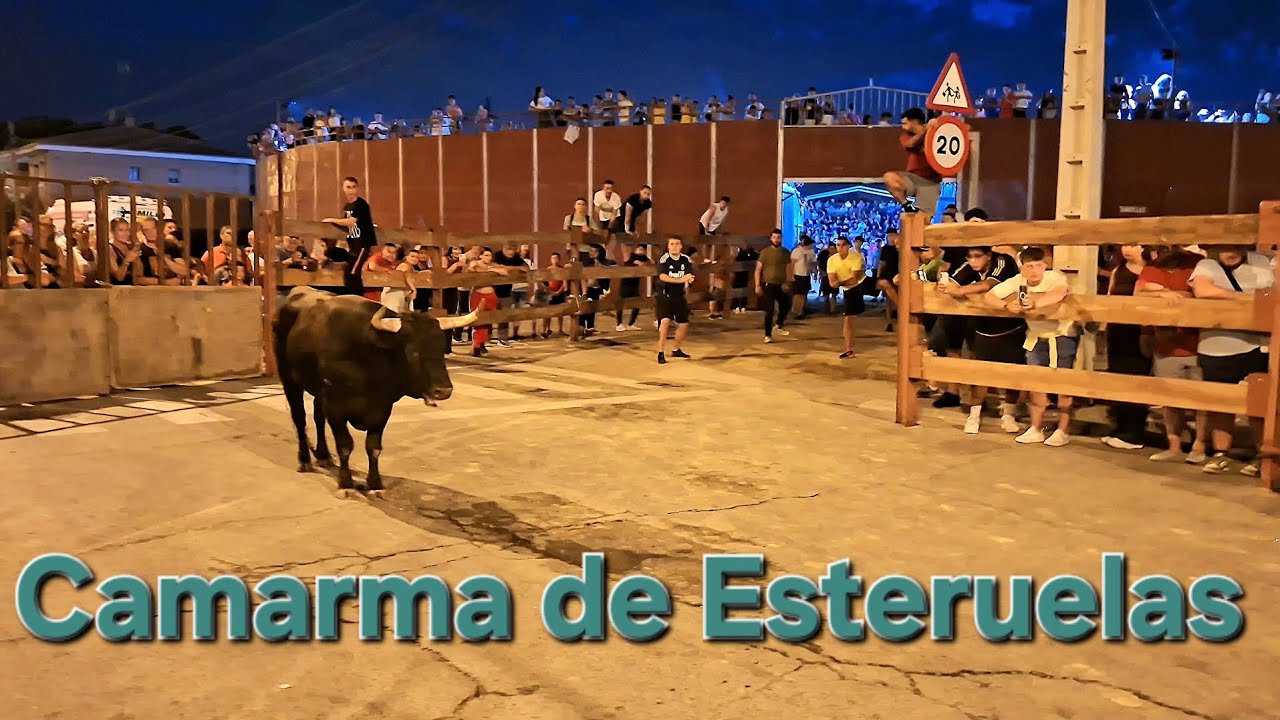 Encierro Camarma de Esteruelas 2025