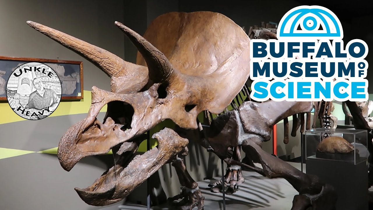 Buffalo Museum of Science &ndash; Interactive Science Museum &ndash; Buffalo, NY