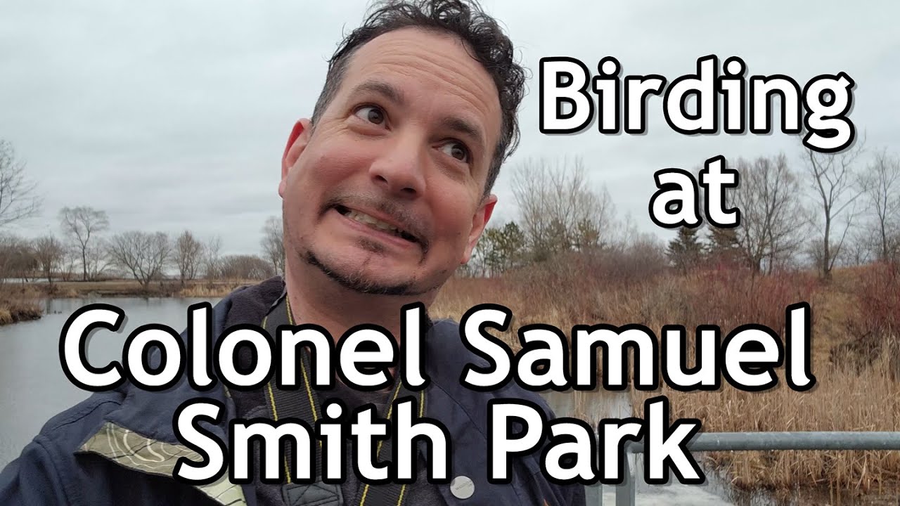 Colonel Samuel Smith Park Birding