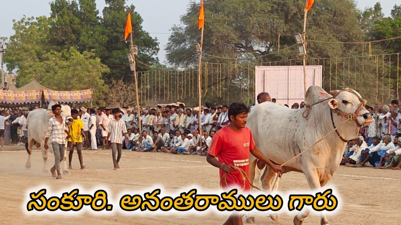 ఆకుల గణపవరం సీనియర్స్ 5వ సంకూరి. అనంతరాములు గారు నల్గొండ జిల్లా...