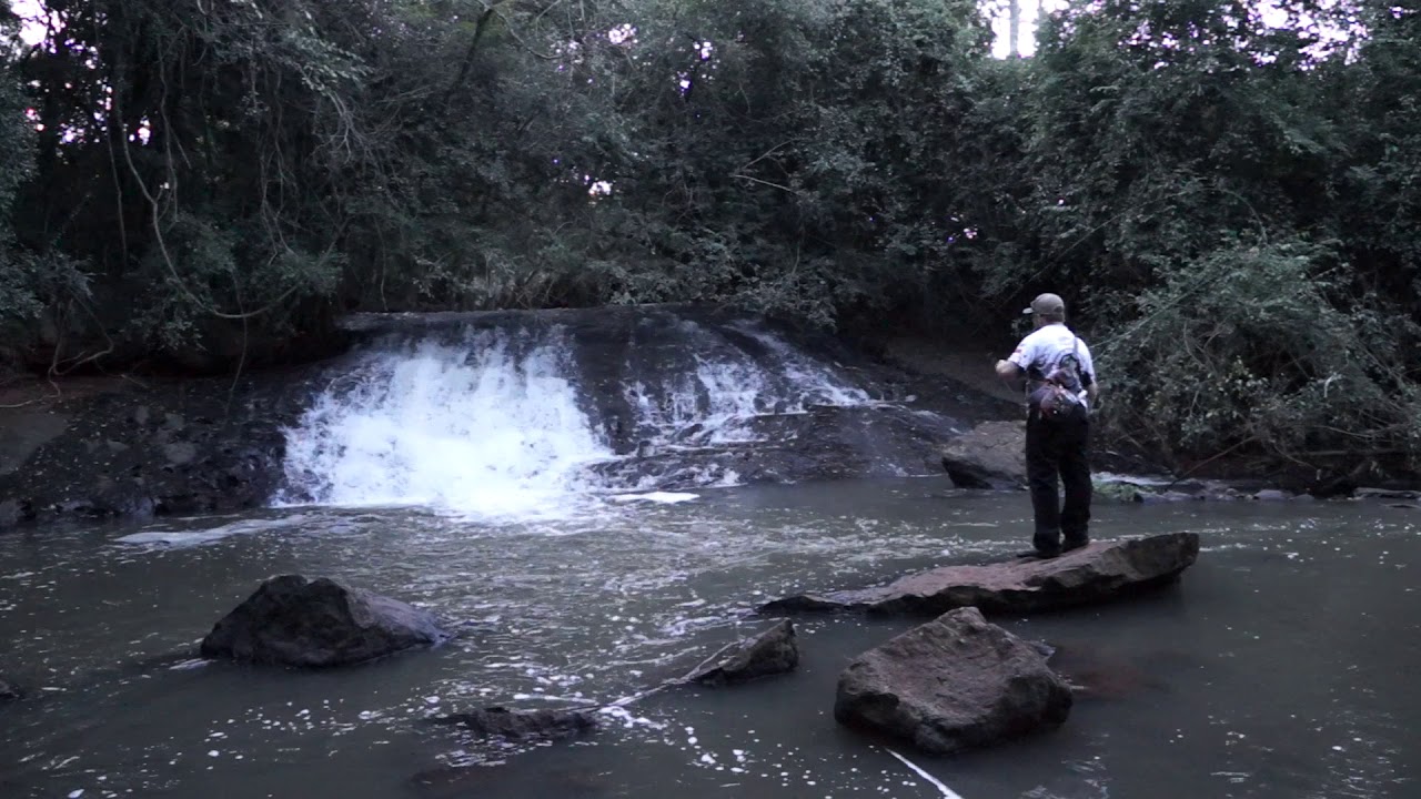 PESCA DE LAMBARI NO FLY #1