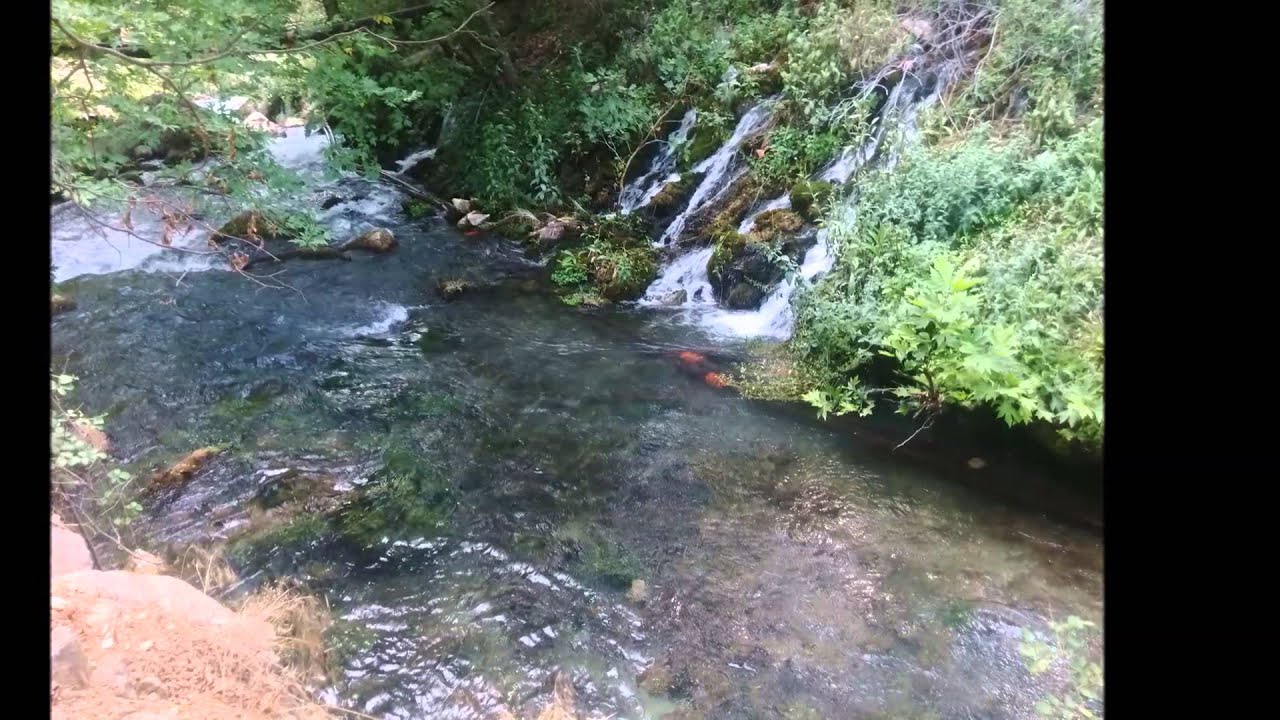 Ihsan Günes - Kırda Meleşir Kuzular ( Düşürdün aşkın narına )