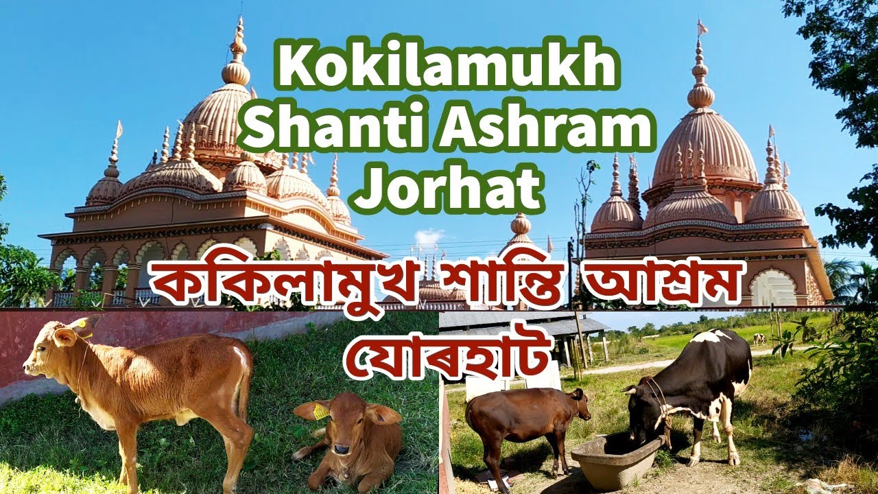 Jorhat Kokilamukh Shanti Ashram | যোৰহাট ককিলামুখ শান্তি আশ্ৰম #vlogs #jorhat