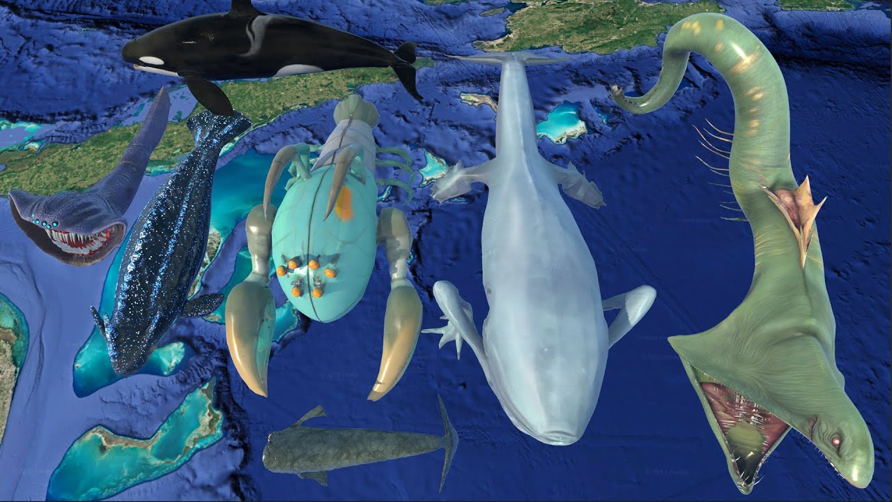 SCP-3700-2 Vs Aircraft Killer Whale Vs Sea Eater | SCP Vs Legendary 3D Sea Monster Size Comparison