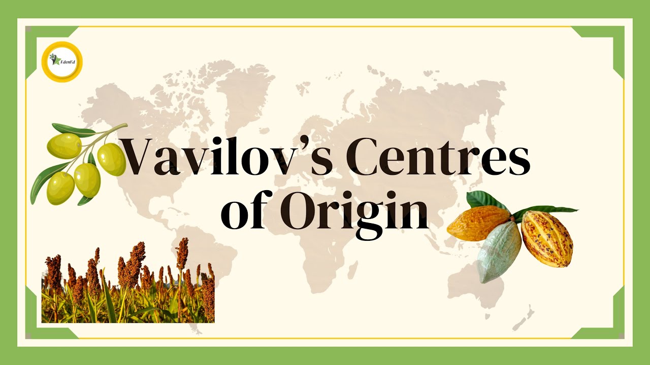 Vavilov's Centre's of Origin