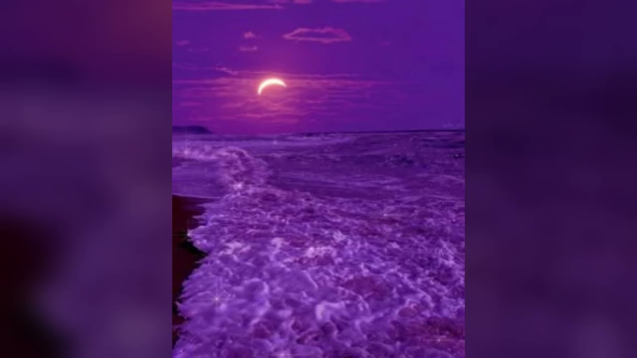 Emotive - Sweetest Paradise