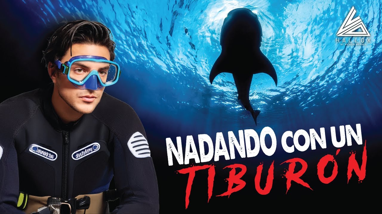 Cara a cara con un tiburón... ¿sobreviví? | Vadhir Derbez