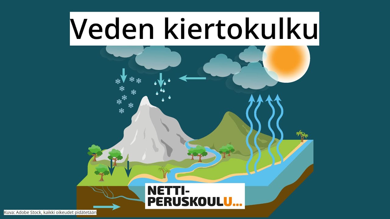 ayl2: Veden kiertokulku (perusopetus)