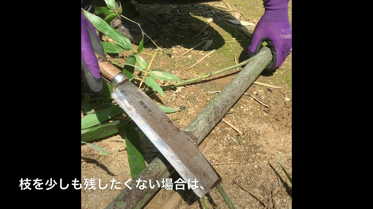 【竹の処理】枝をカットするときの方法とコツ!!ナタの刃を守る使い方!!#稲屋の田舎チャンネル