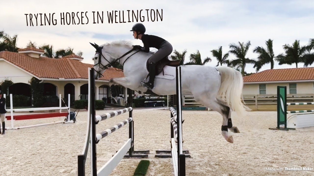 trying horses in wellington, florida | january 2018 | buying my new horse!