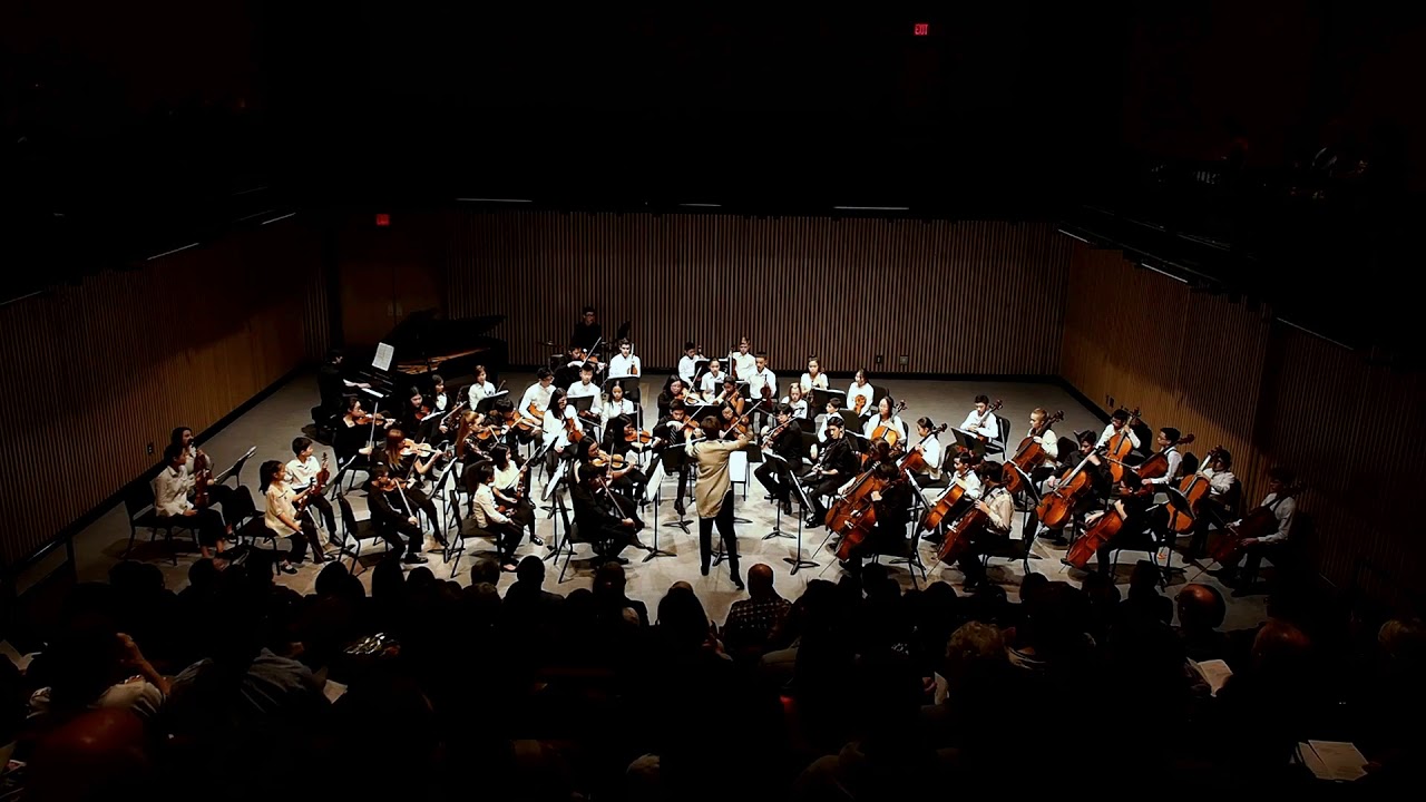 VSOSoM Strings Ensemble (Da-Wei): Ennio Morricone's Cinema Suite (arr. Harold Birston)