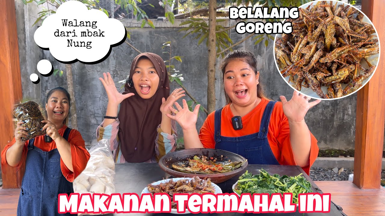 MAKANAN YANG SUSAH DI CARI, SATU TAHUN SEKALI ADA⁉️belalang  goreng gurih kriuk
