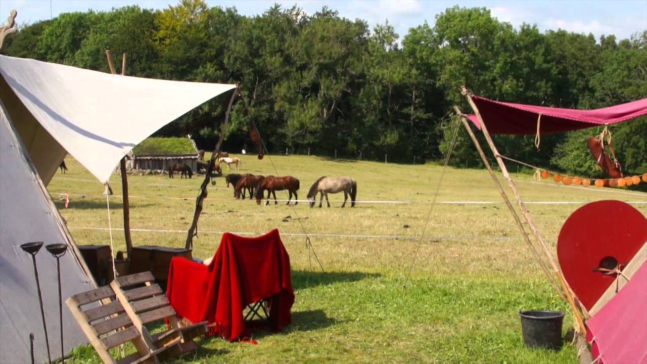Vikingetræf Aarhus 2011