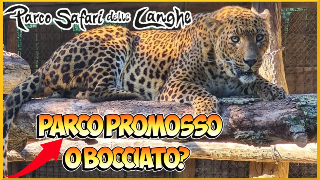 Esploriamo il PARCO SAFARI DELLE LANGHE a Murazzano, un parco davvero STRANO