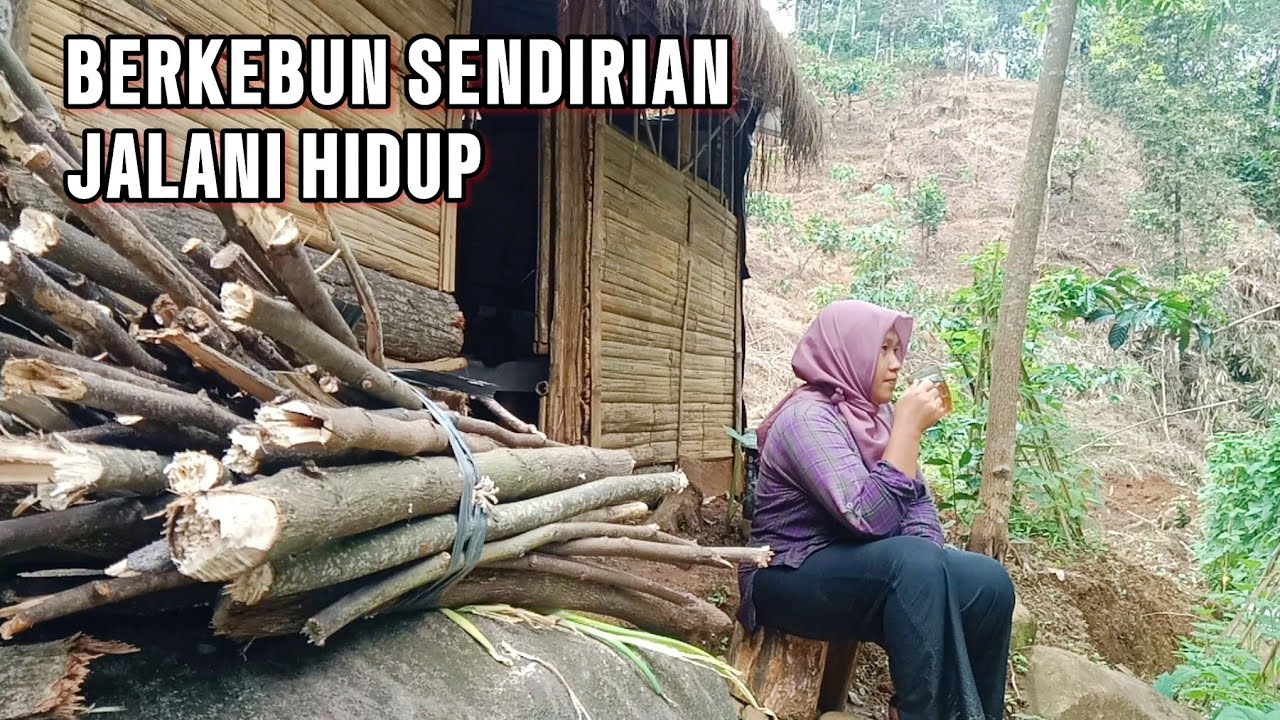 FULL 6 VIDEO BERKEBUN SENDIRIAN. BERCOCOK TANAM SAYUR MAYUR.
