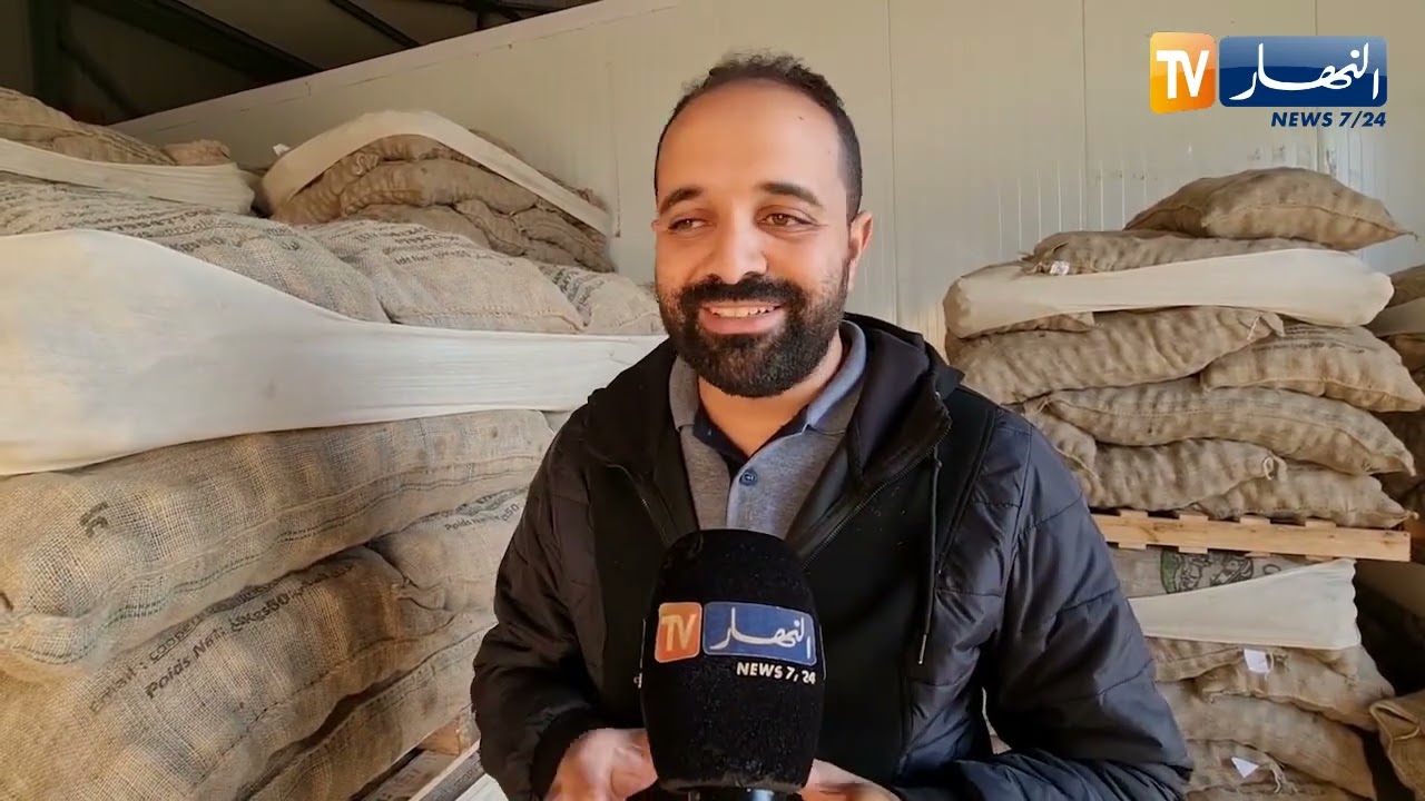 مستغانم: وفرة بذور البطاطا بهدف إنتاج ما يفوق 03 ملايين قنطار هذا الموسم