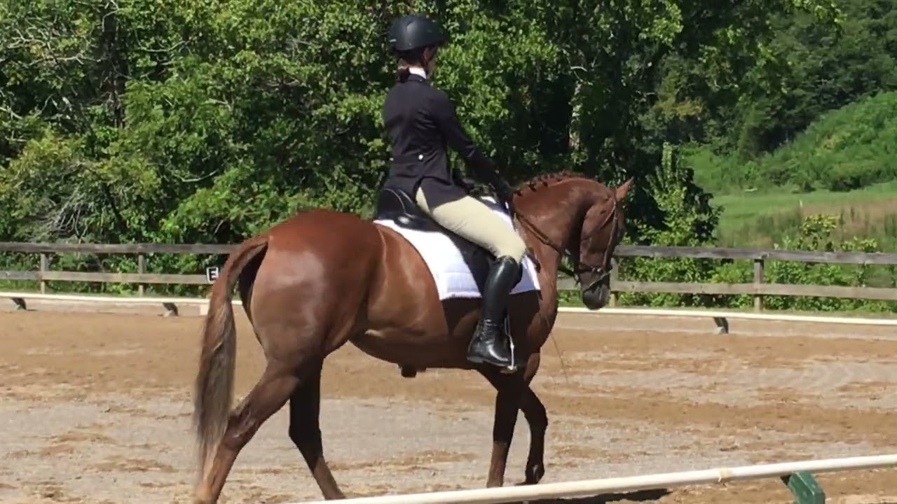 Sequel and Harley River Glen 2017