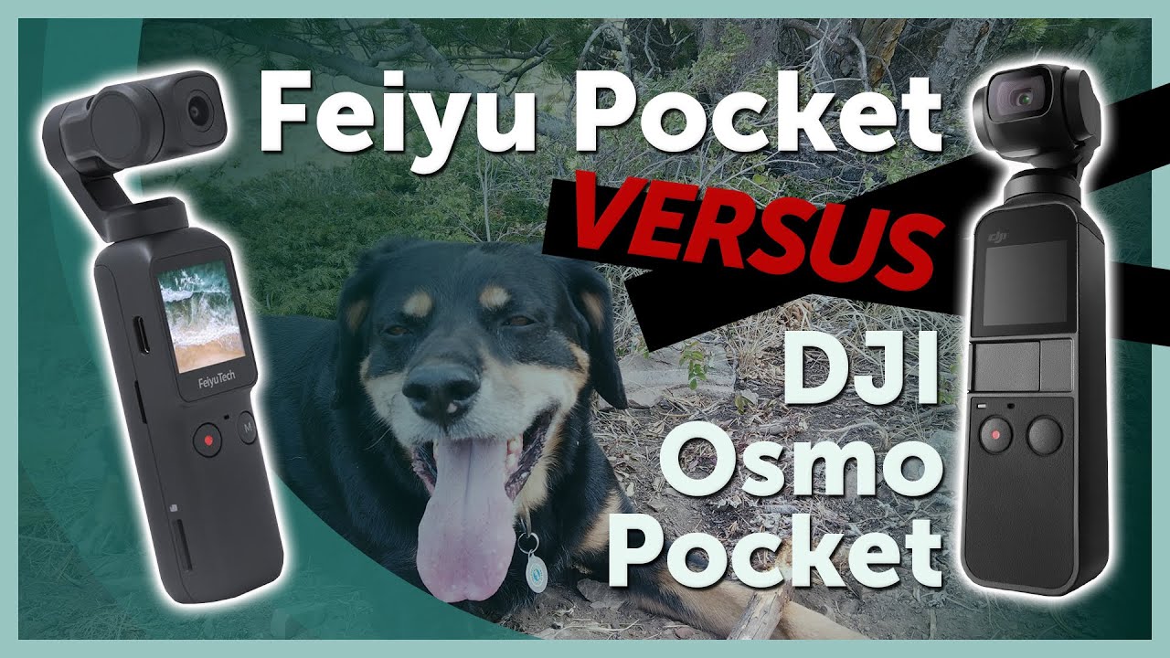 Feiyu Pocket vs DJI Osmo Pocket | Does the Feiyu Pocket's Price beat the DJI Osmo Pocket?