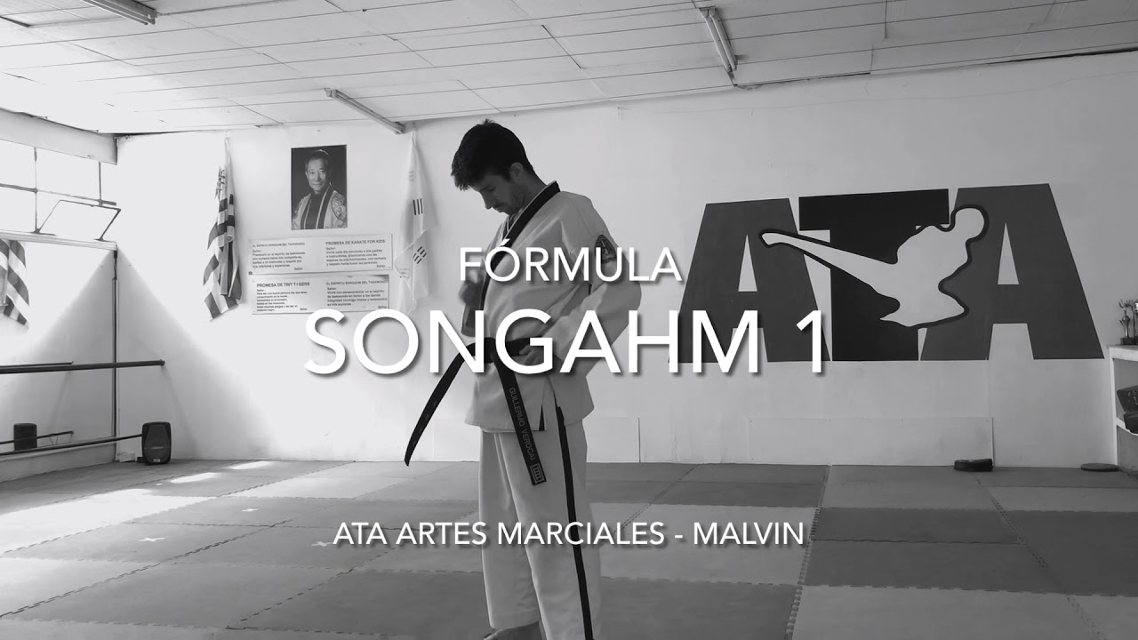 Songahm 1 / TIGERS - Fórmula