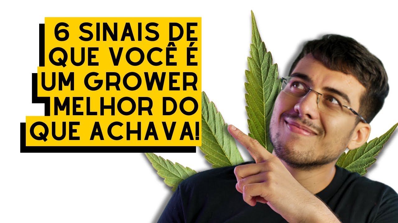 6 Sinais de Que Seu Cultivo Está Acima da Média