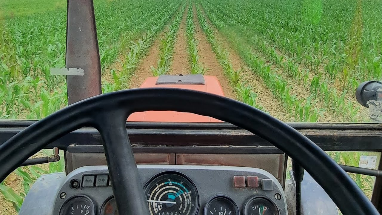 Kultiviranje  kukuruza 2023 - Zetor 6320