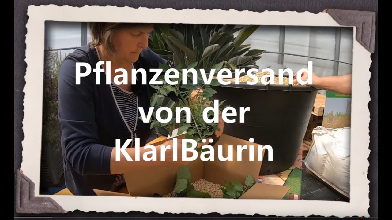 Pflanzenversand von der KlarlB&auml;urin