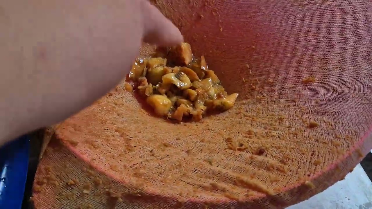 Kako pravim domaći jabučni ocat od svojih jabuka