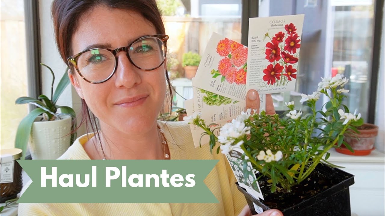 1er Haul Plantes de l’année ! Sélection Jardin