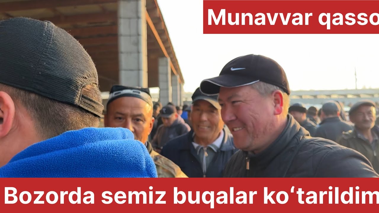 Beshariq mol bozori semiz boqma va yosh buqalar narhlari 22.02.2026yil