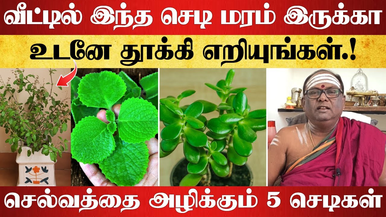 வீட்டில் இந்த செடி மரம் இருக்கா உடனே தூக்கி எறியுங்கள் | unlucky planets | lucky planets in home