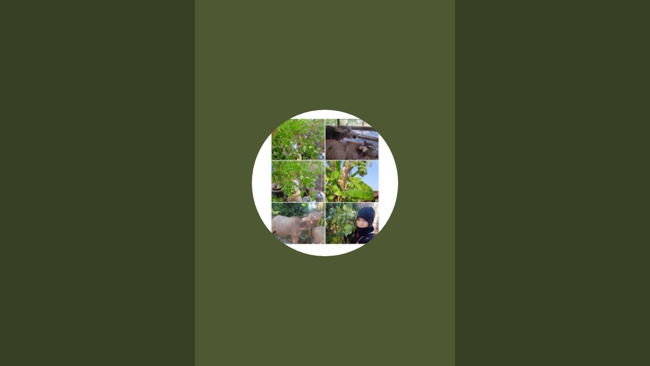 ธรรมะก่อนนอน และชีวิตของคนอิสาน กำลังถ่ายทอดสด!