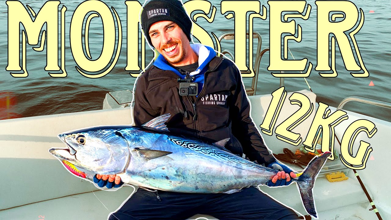 12 KG | Bacoreta XXL | Combate completo | Pesca al curricán