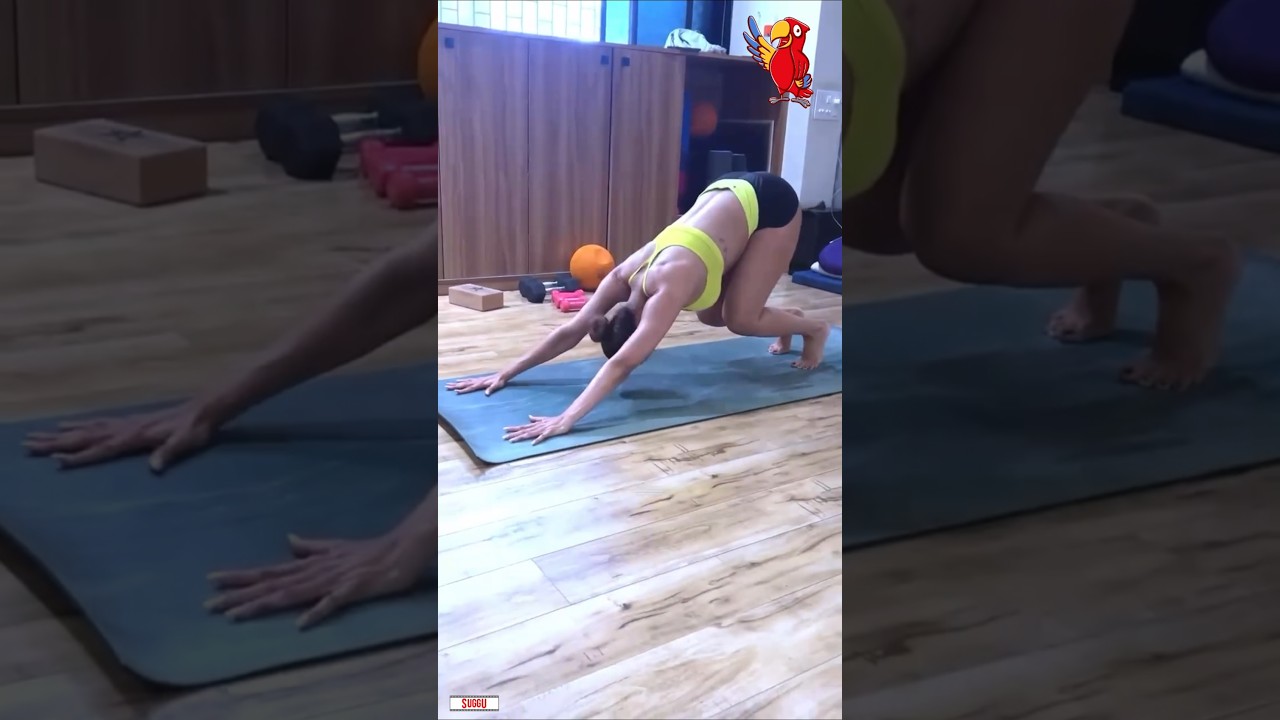 Malaika Arora Workout Video 🔥 #malaikaarora #bollywood #gym #workout #viralvideo #shorts | Suggu TV