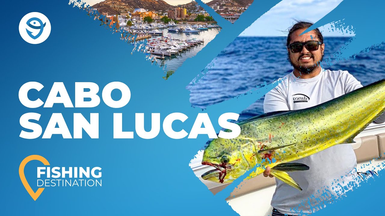 Fishing in Cabo San Lucas: All You Need to Know | FishingBooker