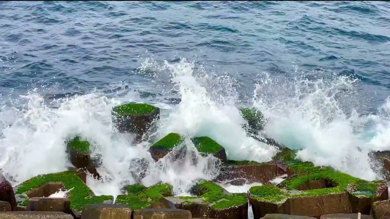尋覓初戀的愛 （新歌創作）